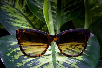 Imageaufnahme einer Sonnenbrille – Fotograf Nürnberg zeigt kreatives Visual Branding.