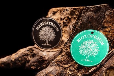 Kreative Fotografie für Industrie und technische Produkte Nürnberg